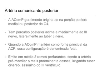 Artéria comunicante posterior
• A AComP geralmente origina-se na porção postero-
medial ou posterior de C4.
• Tem percurso posterior acima e medialmente ao III
nervo, lateralmente ao túber cinério.
• Quando a AComP mantém como fonte principal da
ACP, essa configuração é denominada fetal.
• Emite em média 8 ramos perfurantes, sendo a artéria
pré-mamilar o mais proeminente desses, irrigando túber
cinéreo, assoalho do III ventrículo.
 