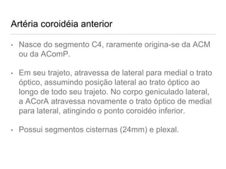Artéria coroidéia anterior
• Nasce do segmento C4, raramente origina-se da ACM
ou da AComP.
• Em seu trajeto, atravessa de lateral para medial o trato
óptico, assumindo posição lateral ao trato óptico ao
longo de todo seu trajeto. No corpo geniculado lateral,
a ACorA atravessa novamente o trato óptico de medial
para lateral, atingindo o ponto coroidéo inferior.
• Possui segmentos cisternas (24mm) e plexal.
 