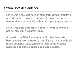 Artéria Coroidéa Anterior
• Em média possuem nove ramos perfurantes, penetram
no trato óptico, no unco, pedúnculo cerebral, corno
temporal, corpo geniculado lateral, hipocampo e outros.
• Há intercâmbio significativo entre o território irrigado
por ACorA, ACP, AcomP, ACM.
• A oclusão da ACorA acarreta os 3H: hemianopsia,
hemianestesia e hemiplegia, resultados da isquemia do
braço posterior da capsula interna e do trato óptico,
radiações ópiticas e corpo geniculado lateral.
 