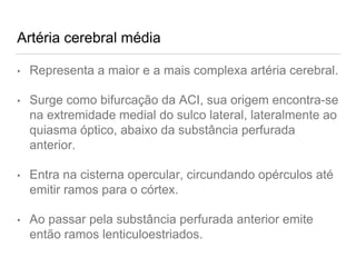 Artéria cerebral média
• Representa a maior e a mais complexa artéria cerebral.
• Surge como bifurcação da ACI, sua origem encontra-se
na extremidade medial do sulco lateral, lateralmente ao
quiasma óptico, abaixo da substância perfurada
anterior.
• Entra na cisterna opercular, circundando opérculos até
emitir ramos para o córtex.
• Ao passar pela substância perfurada anterior emite
então ramos lenticuloestriados.
 