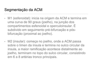 Segmentação da ACM
• M1 (esfenoidal): inicia na origem da ACM e termina em
uma curva de 90 graus (joelho), na junção dos
compartimentos esfenoidal e operculoinsular. É
subdivido em seguimento pré-bifurcação e pós-
bifurcação (proximal ao joelho).
• M2 (insular): começa no joelho, onde a ACM passa
sobre o límen da ínsula e termina no sulco circular da
ínsula, a maior ramificação acontece distalmente ao
joelho, terminam no topo do sulco circular, consistindo
em 6 a 8 artérias tronco principais.
 