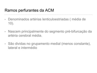 Ramos perfurantes da ACM
• Denominados artérias lenticuloestriadas ( média de
10).
• Nascem principalmente do segmento pré-bifurcação da
artéria cerebral média.
• São dividas no grupamento medial (menos constante),
lateral e intermédio
 