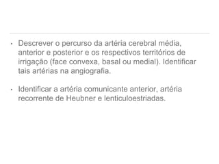 • Descrever o percurso da artéria cerebral média,
anterior e posterior e os respectivos territórios de
irrigação (face convexa, basal ou medial). Identificar
tais artérias na angiografia.
• Identificar a artéria comunicante anterior, artéria
recorrente de Heubner e lenticuloestriadas.
 