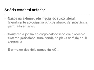 Artéria cerebral anterior
• Nasce na extremidade medial do sulco lateral,
lateralmente ao quiasma ópticos abaixo da substância
perfurada anterior.
• Contorna o joelho do corpo caloso indo em direção a
cisterna pericalosa, terminando no plexo coróide do III
ventrículo.
• É o menor dos dois ramos da ACI.
 
