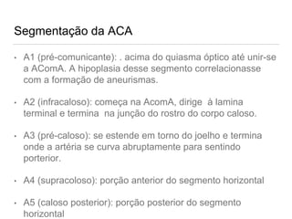 Segmentação da ACA
• A1 (pré-comunicante): . acima do quiasma óptico até unir-se
a AComA. A hipoplasia desse segmento correlacionasse
com a formação de aneurismas.
• A2 (infracaloso): começa na AcomA, dirige à lamina
terminal e termina na junção do rostro do corpo caloso.
• A3 (pré-caloso): se estende em torno do joelho e termina
onde a artéria se curva abruptamente para sentindo
porterior.
• A4 (supracoloso): porção anterior do segmento horizontal
• A5 (caloso posterior): porção posterior do segmento
horizontal
 