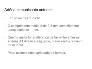 Artéria comunicante anterior
• Faz união das duas A1.
• O comprimento médio é de 2-3 mm com diâmetro
aproximada de 1 mm.
• Quanto maior for a diferença de tamanho entre as
artérias A1 direito e esquerdo, maior será o tamanho
da AComA.
• Pode assumir uma variedade de formas.
 