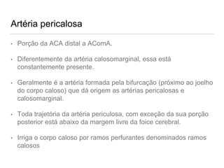 Artéria pericalosa
• Porção da ACA distal a AComA.
• Diferentemente da artéria calosomarginal, essa está
constantemente presente.
• Geralmente é a artéria formada pela bifurcação (próximo ao joelho
do corpo caloso) que dá origem as artérias pericalosas e
calosomarginal.
• Toda trajetória da artéria periculosa, com exceção da sua porção
posterior está abaixo da margem livre da foice cerebral.
• Irriga o corpo caloso por ramos perfurantes denominados ramos
calosos
 