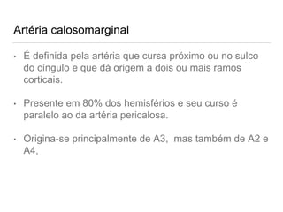 Artéria calosomarginal
• É definida pela artéria que cursa próximo ou no sulco
do cíngulo e que dá origem a dois ou mais ramos
corticais.
• Presente em 80% dos hemisférios e seu curso é
paralelo ao da artéria pericalosa.
• Origina-se principalmente de A3, mas também de A2 e
A4,
 