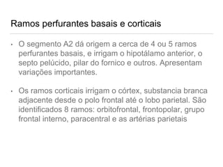 Ramos perfurantes basais e corticais
• O segmento A2 dá origem a cerca de 4 ou 5 ramos
perfurantes basais, e irrigam o hipotálamo anterior, o
septo pelúcido, pilar do fornico e outros. Apresentam
variações importantes.
• Os ramos corticais irrigam o córtex, substancia branca
adjacente desde o polo frontal até o lobo parietal. São
identificados 8 ramos: orbitofrontal, frontopolar, grupo
frontal interno, paracentral e as artérias parietais
 