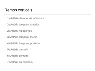 Ramos corticais
• 1) Artérias temporais inferiores
• 2) Artéria temporal anterior
• 2) Artéria hipocampo
• 3) Artéria temporal média
• 4) Artéria temporal posterior
• 5) Artéria calcaria
• 6) Artéria comum
• 7) Artéria do esplênio
 
