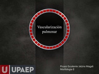 Vascularización
pulmonar
Picazo Escalante Jatzira Magali
Morfología II
 