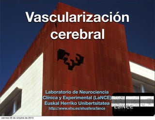 Vascularización
                        cerebral


                                 Laboratorio de Neurociencia
                                Clínica y Experimental (LaNCE)
                                 Euskal Herriko Unibertsitatea
                                  http://www.ehu.es/ehusfera/lance

viernes 29 de octubre de 2010
 