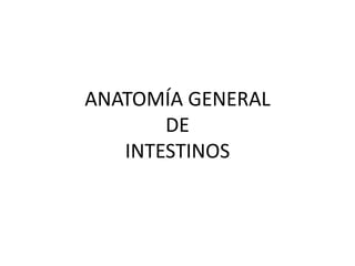 ANATOMÍA GENERAL
       DE
   INTESTINOS
 