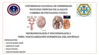 UNIVERSIDAD NACIONAL DE CHIMBORAZO
FACULTAD CIENCIAS DE LA SALUD
CARRERA DE PSICOLOGÍA CLÍNICA
NEUROPSICOLOGÍA Y PSICOFISIOLOGÍA I.
TEMA: VASCULARIZACIÓN SUPERFICIAL DEL ENCÉFALO
INTEGRANTES:
 AGUAY MARÍA JOSÉ
 AREVALO GABY
 PALLO DIANA
 PANCHI MARÍA BELÉN
 
