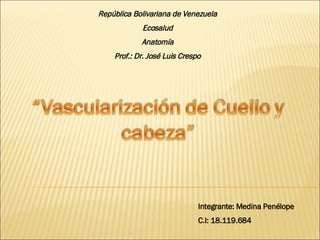 República Bolivariana de Venezuela Ecosalud Anatomía Prof.: Dr. José Luis Crespo Integrante: Medina Penélope C.I: 18.119.684 