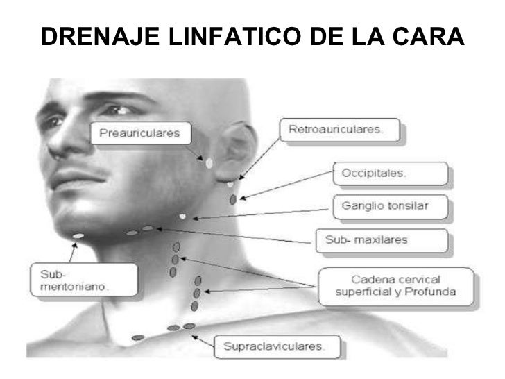 Facial Como Dar Masajes Linfaticos Puntos De Drenaje Facial Paso A