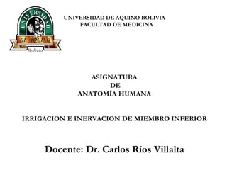 UNIVERSIDAD DE AQUINO BOLIVIA
FACULTAD DE MEDICINA
ASIGNATURA
DE
ANATOMÍA HUMANA
IRRIGACION E INERVACION DE MIEMBRO INFERIOR
Docente: Dr. Carlos Ríos Villalta
 