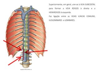 Superiormente, em geral, une-se à VEIA SUBCOSTAL
para formar a VEIA ÁZIGOS à direita e a
HEMIÁZIGOS à esquerda.
Faz ligação entre as VEIAS ILÍACAS COMUNS,
ILIOLOMBARES e LOMBARES.
 