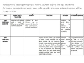 Agradecimento à Joana por me poupar trabalho, vou fazer plágio e colar aqui a tua tabela.
As imagens correspondentes a estes vasos estão nos slides anteriores, juntamente com as artérias
correspondentes
 