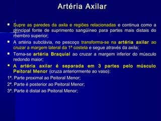 Artéria Axilar

   Supre as paredes da axila e regiões relacionadas e continua como a
    principal fonte de suprimento sangüíneo para partes mais distais do
    membro superior;
 A artéria subclávia, no pescoço transforma-se na artéria axilar ao
    cruzar a margem lateral da 1ª costela e segue através da axila;
 Torna-se artéria Braquial ao cruzar a margem inferior do músculo
    redondo maior;
 A artéria axilar é separada em 3 partes pelo músculo
    Peitoral Menor (cruza anteriormente ao vaso):
1ª. Parte proximal ao Peitoral Menor;
2ª. Parte é posterior ao Peitoral Menor;
3ª. Parte é distal ao Peitoral Menor;
 