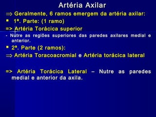 Artéria Axilar
⇒ Geralmente, 6 ramos      emergem da artéria axilar:
 1ª. Parte: (1 ramo)
=> Artéria Torácica superior
- Nutre as regiões superiores das paredes axilares medial e
  anterior.
 2ª. Parte (2 ramos):
⇒ Artéria Toracoacromial     e Artéria torácica lateral


=> Artéria Torácica Lateral – Nutre as paredes
  medial e anterior da axila.
 