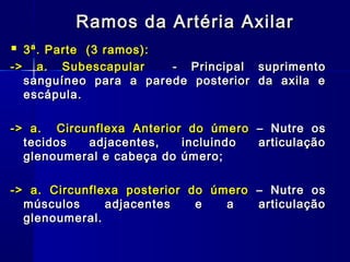 Ramos da Artéria Axilar
 3ª. Parte (3 ramos):
-> a. Subescapular     - Principal suprimento
  sanguíneo para a parede posterior da axila e
  escápula.

-> a. Circunflexa Anterior do úmero – Nutre os
  tecidos  adjacentes,    incluindo articulação
  glenoumeral e cabeça do úmero;

-> a. Circunflexa posterior do úmero – Nutre os
  músculos     adjacentes    e   a   articulação
  glenoumeral.
 