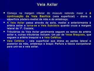 Veia Axilar

   Começa na margem inferior do músculo redondo maior e é
    continuação da Veia Basílica (veia superficial) – drena a
    superfície póstero-medial da mão e do antebraço;
   A Veia Axilar passa através da axila, medial e anteriormente à
    artéria axilar e torna-se a Veia Subclávia quando cruza a margem
    lateral da 1ª. Costela;
   Tributárias da Veia Axilar geralmente seguem os ramos da artéria
    axilar e, outras tributárias incluem: Um par de Veias Braquiais , que
    seguem a artéria braquial e a Veia Cefálica;
   Veia Cefálica – veia superficial que drena as partes lateral e
    posterior da mão, antebraço e braço; Perfura a fáscia clavipeitoral
    para unir-se a veia axilar.
 