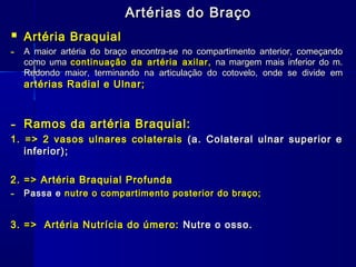 Artérias do Braço
   Artéria Braquial
-   A maior artéria do braço encontra-se no compartimento anterior, começando
    como uma continuação da artéria axilar, na margem mais inferior do m.
    Redondo maior, terminando na articulação do cotovelo, onde se divide em
    artérias Radial e Ulnar;



-   Ramos da artéria Braquial:
1. => 2 vasos ulnares colaterais (a. Colateral ulnar superior e
   inferior);

2. => Artéria Braquial Profunda
-   Passa e nutre o compartimento posterior do braço;


3. => Artéria Nutrícia do úmero: Nutre o osso.
 
