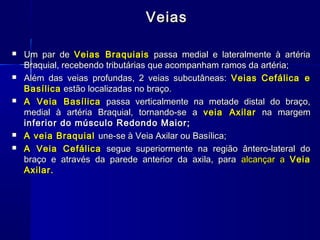Veias

   Um par de Veias Braquiais passa medial e lateralmente à artéria
    Braquial, recebendo tributárias que acompanham ramos da artéria;
   Além das veias profundas, 2 veias subcutâneas: Veias Cefálica e
    Basílica estão localizadas no braço.
   A Veia Basílica passa verticalmente na metade distal do braço,
    medial à artéria Braquial, tornando-se a veia Axilar na margem
    inferior do músculo Redondo Maior;
   A veia Braquial une-se à Veia Axilar ou Basílica;
   A Veia Cefálica segue superiormente na região ântero-lateral do
    braço e através da parede anterior da axila, para alcançar a Veia
    Axilar.
 