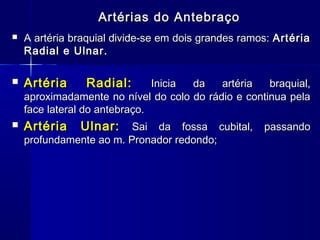 Artérias do Antebraço
   A artéria braquial divide-se em dois grandes ramos: Artéria
    Radial e Ulnar.

   Artéria     Radial:        Inicia da   artéria   braquial,
    aproximadamente no nível do colo do rádio e continua pela
    face lateral do antebraço.
   Artéria    Ulnar:    Sai da fossa cubital,       passando
    profundamente ao m. Pronador redondo;
 
