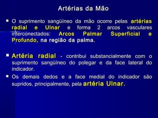 Artérias da Mão
   O suprimento sangüíneo da mão ocorre pelas artérias
    radial e Ulnar e forma 2 arcos vasculares
    interconectados: Arcos    Palmar    Superficial   e
    Profundo, na região da palma.

   Artéria radial - contribui substancialmente com o
    suprimento sangüíneo do polegar e da face lateral do
    indicador.
   Os demais dedos e a face medial do indicador são
    supridos, principalmente, pela artéria Ulnar.
 