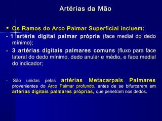 Artérias da Mão


 Os Ramos do Arco Palmar Superficial incluem:
- 1 artéria digital palmar própria (face medial do dedo
   mínimo);
- 3 artérias digitais palmares comuns (fluxo para face
   lateral do dedo mínimo, dedo anular e médio, e face medial
   do indicador;


-   São unidas pelas artérias Metacarpais Palmares
    provenientes do Arco Palmar profundo, antes de se bifurcarem em
    artérias digitais palmares próprias, que penetram nos dedos.
 