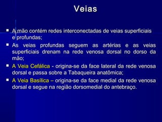 Veias

   A mão contém redes interconectadas de veias superficiais
    e profundas;
   As veias profundas seguem as artérias e as veias
    superficiais drenam na rede venosa dorsal no dorso da
    mão;
   A Veia Cefálica - origina-se da face lateral da rede venosa
    dorsal e passa sobre a Tabaqueira anatômica;
   A Veia Basílica – origina-se da face medial da rede venosa
    dorsal e segue na região dorsomedial do antebraço.
 