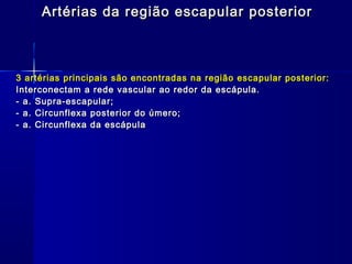 Artérias da região escapular posterior



3 artérias principais são encontradas na região escapular posterior:
Interconectam a rede vascular ao redor da escápula.
- a. Supra-escapular;
- a. Circunflexa posterior do úmero;
- a. Circunflexa da escápula
 