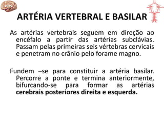 ARTÉRIA VERTEBRAL E BASILAR
As artérias vertebrais seguem em direção ao
encéfalo a partir das artérias subclávias.
Passam pelas primeiras seis vértebras cervicais
e penetram no crânio pelo forame magno.
Fundem –se para constituir a artéria basilar.
Percorre a ponte e termina anteriormente,
bifurcando-se para formar as artérias
cerebrais posteriores direita e esquerda.
 