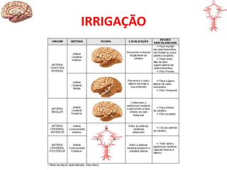 IRRIGAÇÃO
 