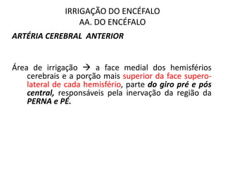 IRRIGAÇÃO DO ENCÉFALO
AA. DO ENCÉFALO
ARTÉRIA CEREBRAL ANTERIOR
Área de irrigação  a face medial dos hemisférios
cerebrais e a porção mais superior da face supero-
lateral de cada hemisfério, parte do giro pré e pós
central, responsáveis pela inervação da região da
PERNA e PÉ.
 