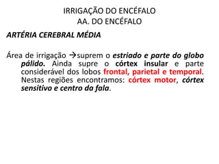 IRRIGAÇÃO DO ENCÉFALO
AA. DO ENCÉFALO
ARTÉRIA CEREBRAL MÉDIA
Área de irrigação suprem o estriado e parte do globo
pálido. Ainda supre o córtex insular e parte
considerável dos lobos frontal, parietal e temporal.
Nestas regiões encontramos: córtex motor, córtex
sensitivo e centro da fala.
 
