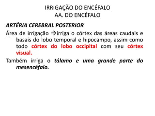 IRRIGAÇÃO DO ENCÉFALO
AA. DO ENCÉFALO
ARTÉRIA CEREBRAL POSTERIOR
Área de irrigação irriga o córtex das áreas caudais e
basais do lobo temporal e hipocampo, assim como
todo córtex do lobo occipital com seu córtex
visual.
Também irriga o tálamo e uma grande parte do
mesencéfalo.
 