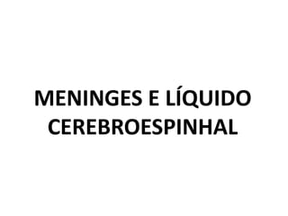 MENINGES E LÍQUIDO
CEREBROESPINHAL
 