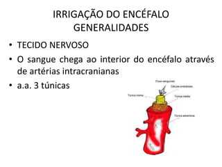 IRRIGAÇÃO DO ENCÉFALO
GENERALIDADES
• TECIDO NERVOSO
• O sangue chega ao interior do encéfalo através
de artérias intracranianas
• a.a. 3 túnicas
 
