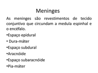 Meninges
As meninges são revestimentos de tecido
conjuntivo que circundam a medula espinhal e
o encéfalo.
•Espaço epidural
• Dura-máter
•Espaço subdural
•Aracnóide
•Espaço subaracnóide
•Pia-máter
 