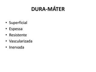 DURA-MÁTER
• Superficial
• Espessa
• Resistente
• Vascularizada
• Inervada
 