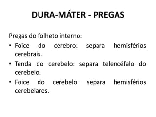 DURA-MÁTER - PREGAS
Pregas do folheto interno:
• Foice do cérebro: separa hemisférios
cerebrais.
• Tenda do cerebelo: separa telencéfalo do
cerebelo.
• Foice do cerebelo: separa hemisférios
cerebelares.
 