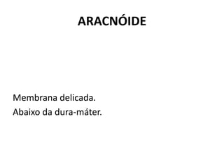 ARACNÓIDE
Membrana delicada.
Abaixo da dura-máter.
 