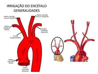 IRRIGAÇÃO DO ENCÉFALO
GENERALIDADES
 
