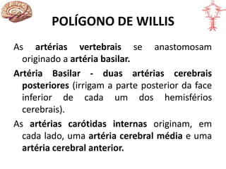 POLÍGONO DE WILLIS
As artérias vertebrais se anastomosam
originado a artéria basilar.
Artéria Basilar - duas artérias cerebrais
posteriores (irrigam a parte posterior da face
inferior de cada um dos hemisférios
cerebrais).
As artérias carótidas internas originam, em
cada lado, uma artéria cerebral média e uma
artéria cerebral anterior.
 