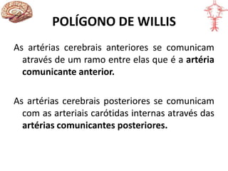 As artérias cerebrais anteriores se comunicam
através de um ramo entre elas que é a artéria
comunicante anterior.
As artérias cerebrais posteriores se comunicam
com as arteriais carótidas internas através das
artérias comunicantes posteriores.
POLÍGONO DE WILLIS
 