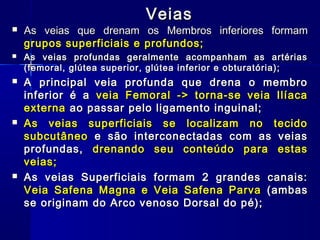 Veias
   As veias que drenam os Membros inferiores formam
    grupos superficiais e profundos;
   As veias profundas geralmente acompanham as artérias
    (femoral, glútea superior, glútea inferior e obturatória);
   A principal veia profunda que drena o membro
    inferior é a veia Femoral -> torna-se veia Ilíaca
    externa ao passar pelo ligamento inguinal;
   As veias superficiais se localizam no tecido
    subcutâneo e são interconectadas com as veias
    profundas, drenando seu conteúdo para estas
    veias;
   As veias Superficiais formam 2 grandes canais:
    Veia Safena Magna e Veia Safena Parva (ambas
    se originam do Arco venoso Dorsal do pé);
 