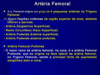 Artéria Femoral
  A a. Femoral origina um grupo de 4 pequenas artérias no Trígono
   Femoral :
=> Irrigam Regiões cutâneas da região superior da coxa, abdome
   inferior e períneo.
- Artéria Epigástrica Superficial;
- Ramo Circunflexo Ilíaco Superficial;
- Artéria Pudenda Externa superficial;
- Artéria Pudenda externa profunda.

  Artéria Femoral Profunda
- O maior ramo da artéria femoral, na coxa, é a artéria Femoral
   Profunda, que se origina na face lateral da artéria femoral ,
   no Trígono Femoral, sendo a principal fonte de suprimento
   sangüíneo para a coxa;
 